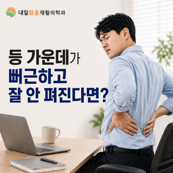 등 가운데 통증과 흉추 뻣뻣함을 안내하는 건강칼럼 표지